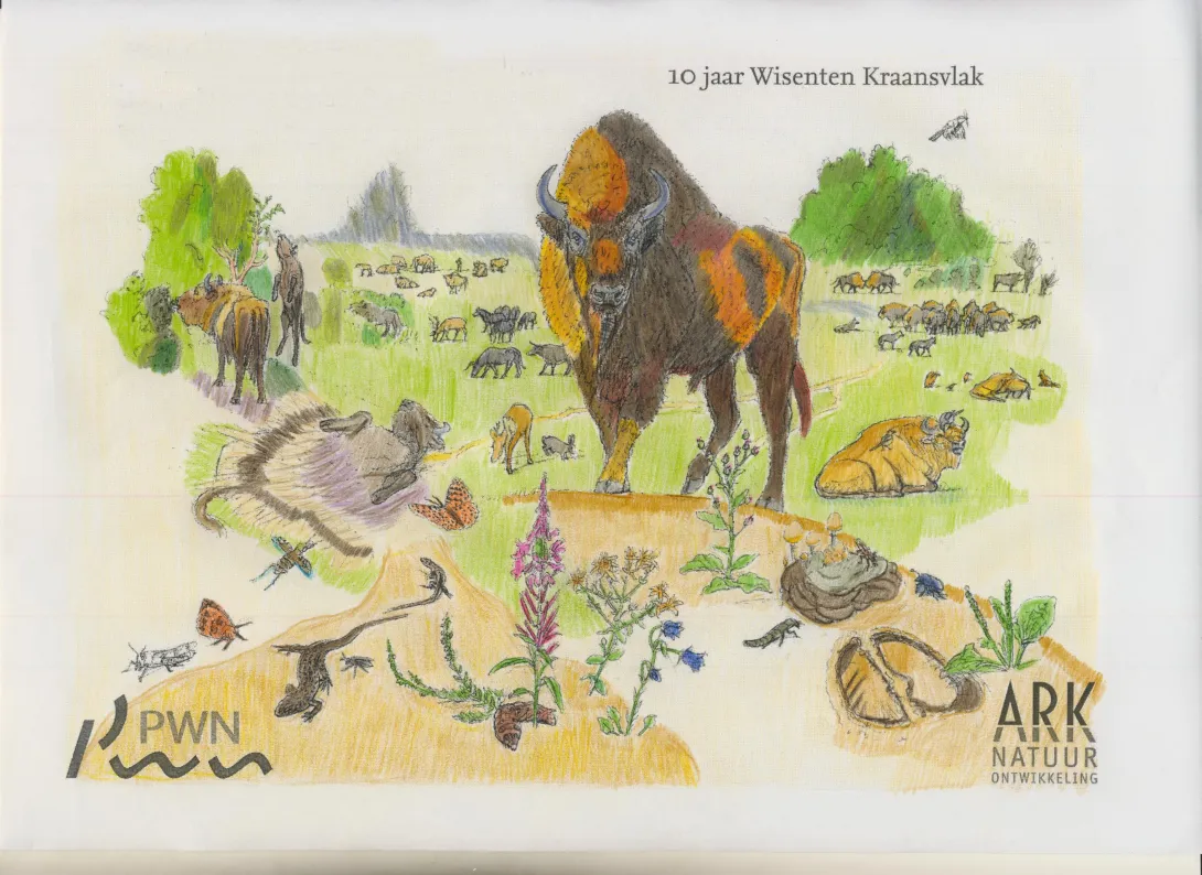 Kleurwedstrijd wisent