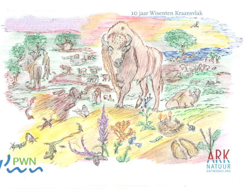 Kleurwedstrijd wisent